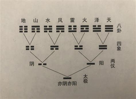 动爻怎么看|学易经要搞懂一个问题：何为动爻